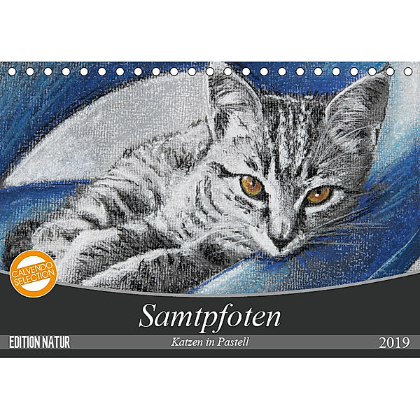 Samtpfoten - Katzen in Pastell (Tischkalender 2019 DIN A5 quer), Uschi Felix