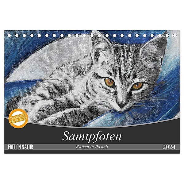 Samtpfoten - Katzen in Pastell (Tischkalender 2024 DIN A5 quer), CALVENDO Monatskalender, Uschi Felix