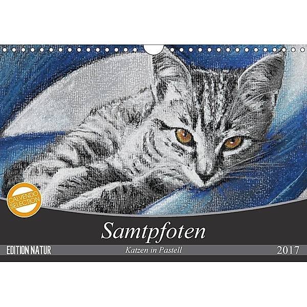Samtpfoten - Katzen in Pastell (Wandkalender 2017 DIN A4 quer), Uschi Felix