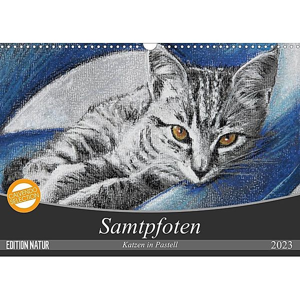 Samtpfoten - Katzen in Pastell (Wandkalender 2023 DIN A3 quer), Uschi Felix