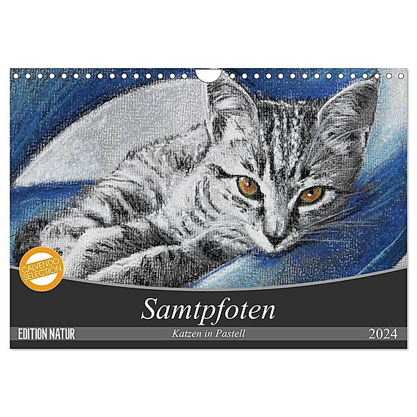 Samtpfoten - Katzen in Pastell (Wandkalender 2024 DIN A4 quer), CALVENDO Monatskalender, Uschi Felix