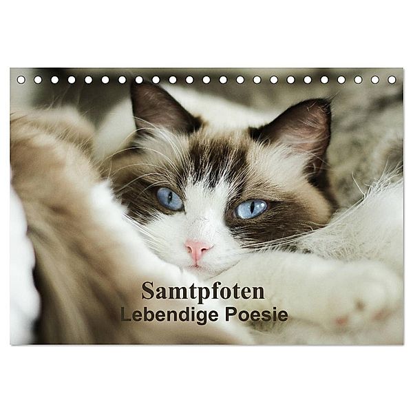 Samtpfoten Lebendige Poesie (Tischkalender 2024 DIN A5 quer), CALVENDO Monatskalender, Marion Reiss-Seibert