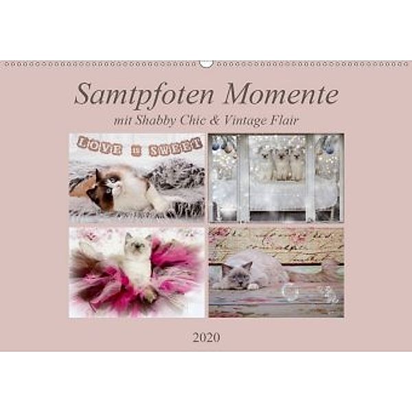 Samtpfoten Momente mit Shabby Chic & Vintage Flair (Wandkalender 2020 DIN A2 quer), Marion Reiss-Seibert