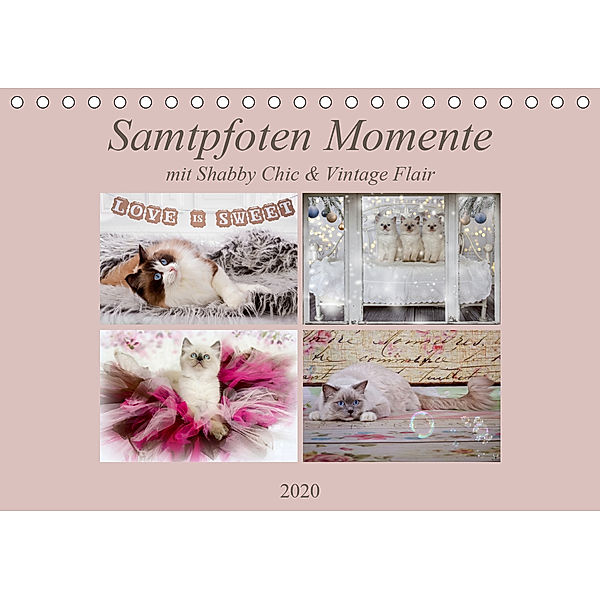 Samtpfoten Momente mit Shabby Chic & Vintage Flair (Tischkalender 2020 DIN A5 quer), Marion Reiss-Seibert