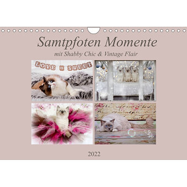 Samtpfoten Momente mit Shabby Chic & Vintage Flair (Wandkalender 2022 DIN A4 quer), Marion Reiß-Seibert