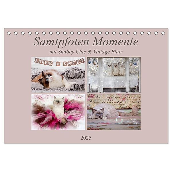 Samtpfoten Momente mit Shabby Chic & Vintage Flair (Tischkalender 2025 DIN A5 quer), CALVENDO Monatskalender, Calvendo, Marion Reiß-Seibert