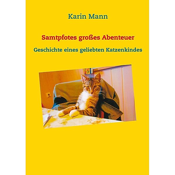 Samtpfotes großes Abenteuer, Karin Mann