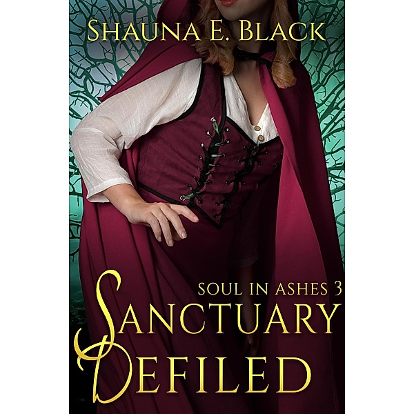 Sanctuary Defiled (Soul in Ashes, #3) / Soul in Ashes, Shauna E. Black