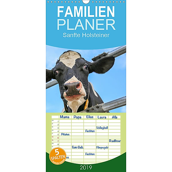 Sanfte Holsteiner - Familienplaner hoch (Wandkalender 2019 , 21 cm x 45 cm, hoch), Jana JF Führer