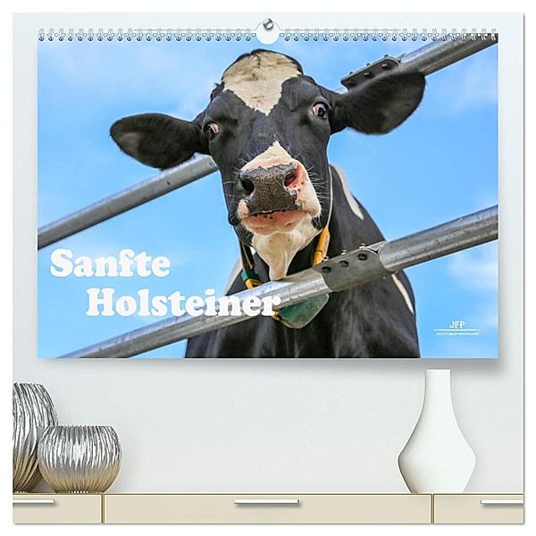 Sanfte Holsteiner (hochwertiger Premium Wandkalender 2024 DIN A2 quer), Kunstdruck in Hochglanz, Jana JF Führer