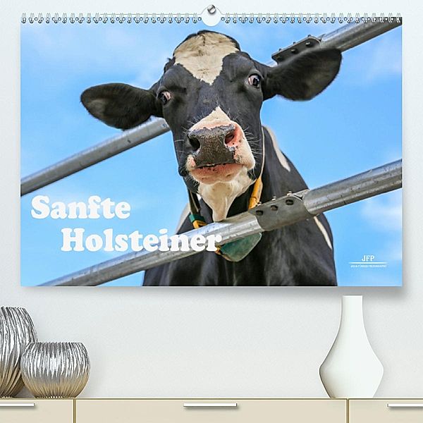 Sanfte Holsteiner (Premium-Kalender 2020 DIN A2 quer), Jana JF Führer