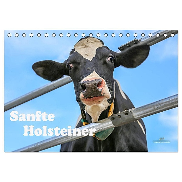 Sanfte Holsteiner (Tischkalender 2024 DIN A5 quer), CALVENDO Monatskalender, Jana JF Führer