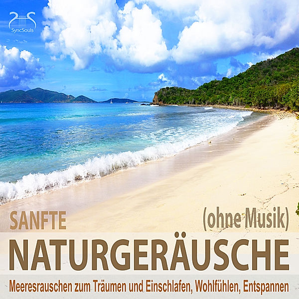 Sanfte Naturgeräusche (ohne Musik) - Meeresrauschen zum Träumen und Einschlafen, Wohlfühlen, Entspannen, Torsten Abrolat