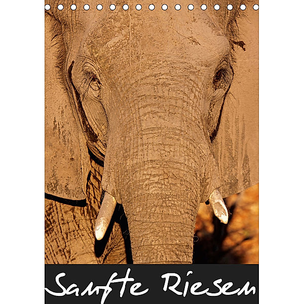 Sanfte Riesen - Afrikas Elefanten (Tischkalender 2019 DIN A5 hoch), Wibke Woyke