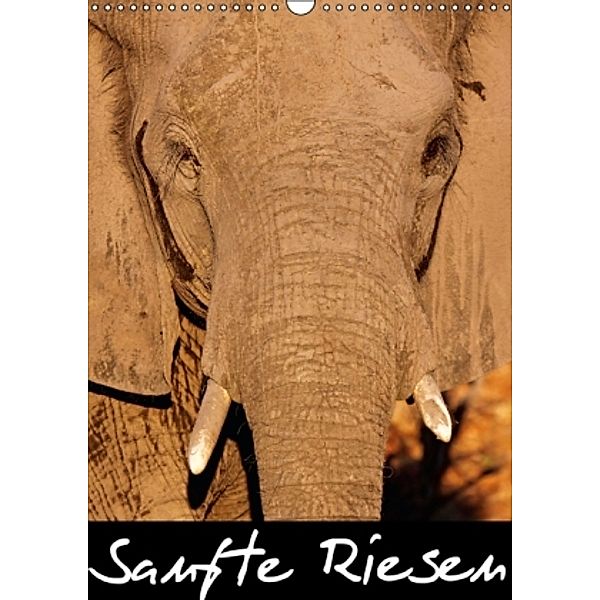 Sanfte Riesen - Afrikas Elefanten (Wandkalender 2015 DIN A3 hoch), Wibke Woyke