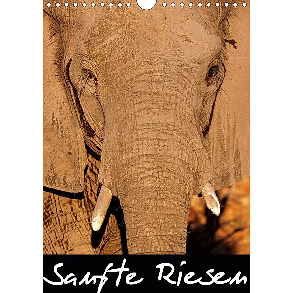Sanfte Riesen - Afrikas Elefanten (Wandkalender 2021 DIN A4 hoch), Wibke Woyke