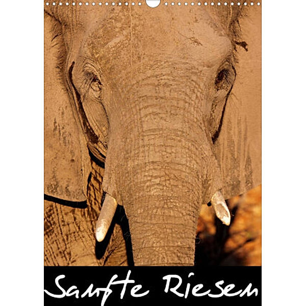 Sanfte Riesen - Afrikas Elefanten (Wandkalender 2022 DIN A3 hoch), Wibke Woyke
