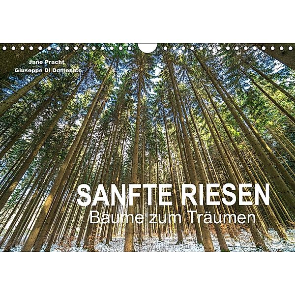 Sanfte Riesen - Bäume zum Träumen (Wandkalender 2020 DIN A4 quer), Jane Pracht und Giuseppe Di Domenico