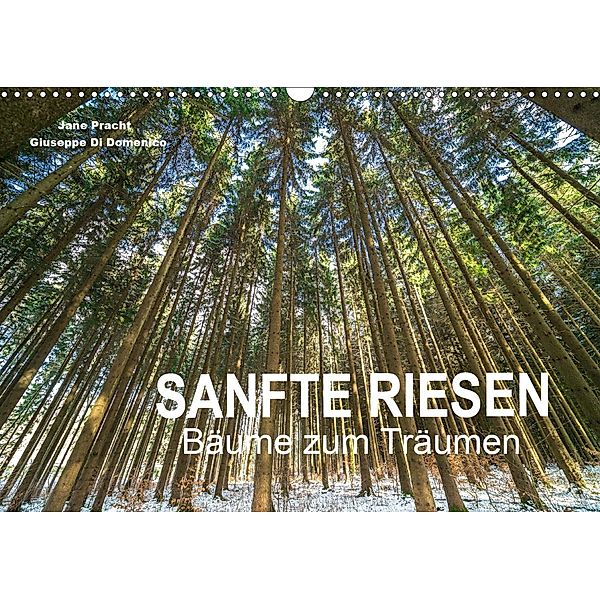 Sanfte Riesen - Bäume zum Träumen (Wandkalender 2021 DIN A3 quer), Jane Pracht und Giuseppe Di Domenico