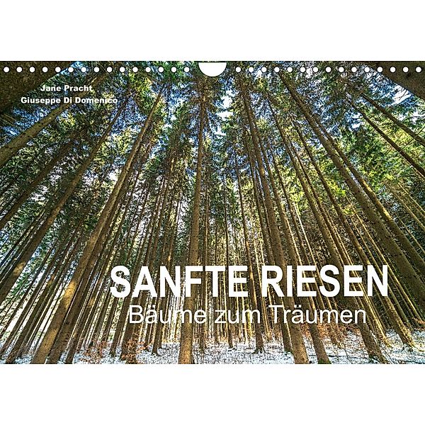 Sanfte Riesen - Bäume zum Träumen (Wandkalender 2023 DIN A4 quer), Jane Pracht und Giuseppe Di Domenico