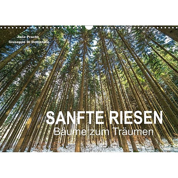 Sanfte Riesen - Bäume zum Träumen (Wandkalender 2023 DIN A3 quer), Jane Pracht und Giuseppe Di Domenico