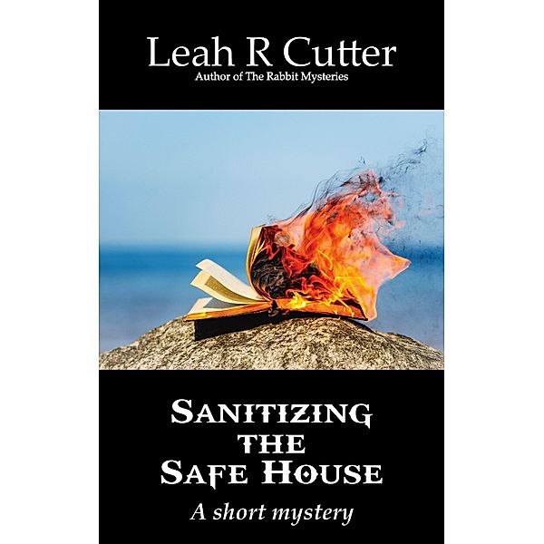 Sanitizing the Safe House, Leah R Cutter