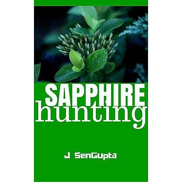 Sapphire Hunting, J. Sengupta