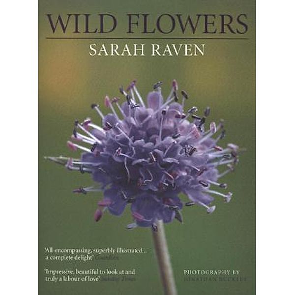 Sarah Raven's Wild Flowers, Sarah Raven