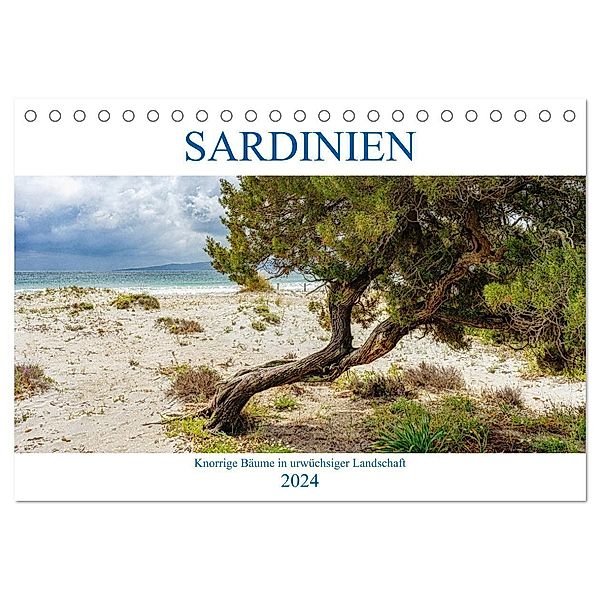 Sardinien Knorrige Bäume in urwüchsiger Landschaft (Tischkalender 2024 DIN A5 quer), CALVENDO Monatskalender, Angelika Beuck