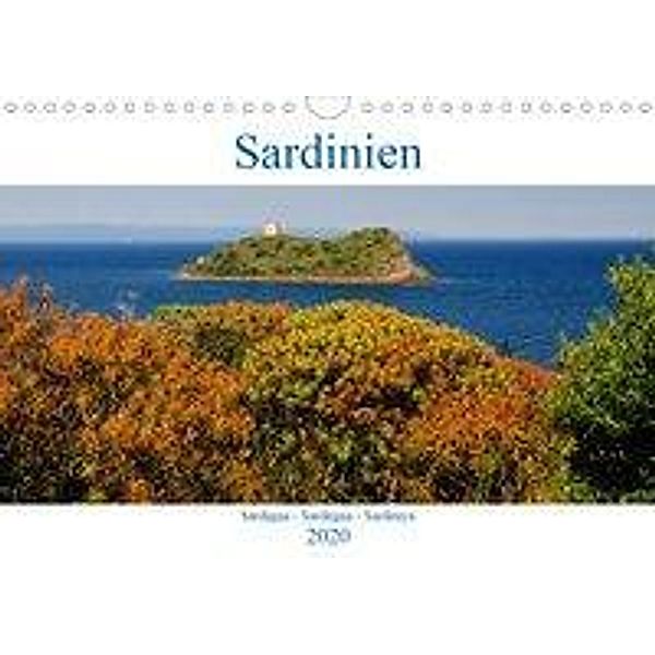 Sardinien - Sardigna - Sardegna - Sardenya (Wandkalender 2020 DIN A4 quer), Marek Witte