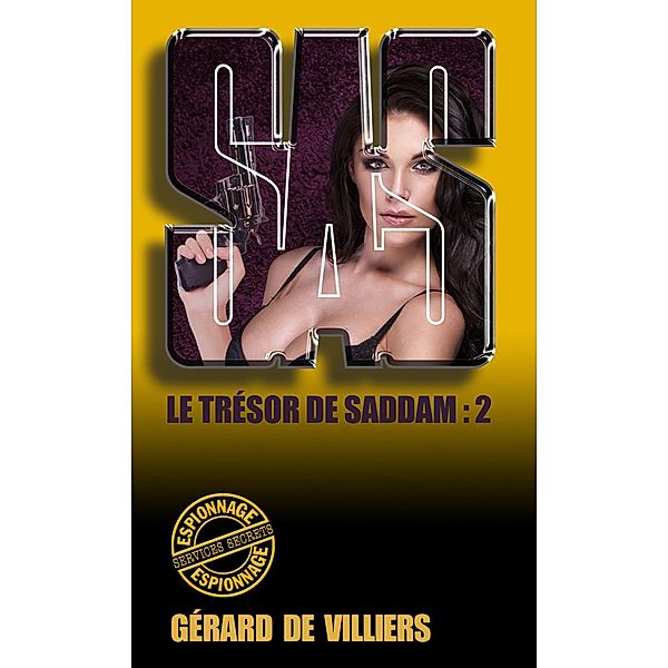 SAS 164 Le trésor de Saddam T2, Gérard De Villiers