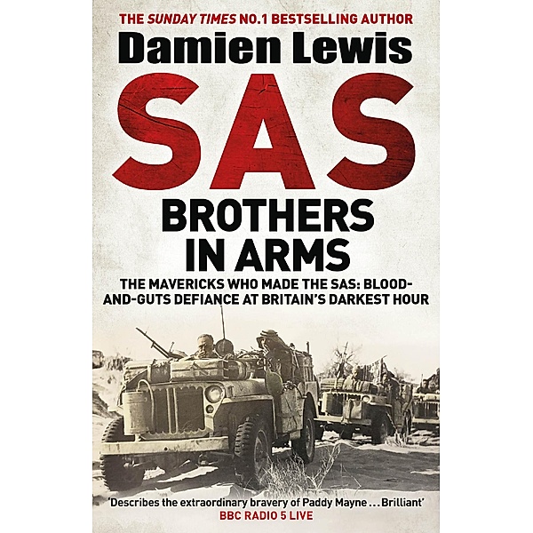 SAS Brothers in Arms, Damien Lewis