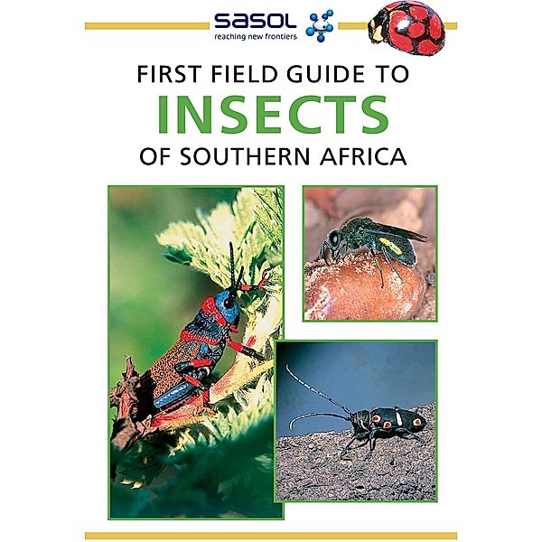 Sasol First Field Guide to Insects of Southern Africa / Struik Nature, Alan Weaving