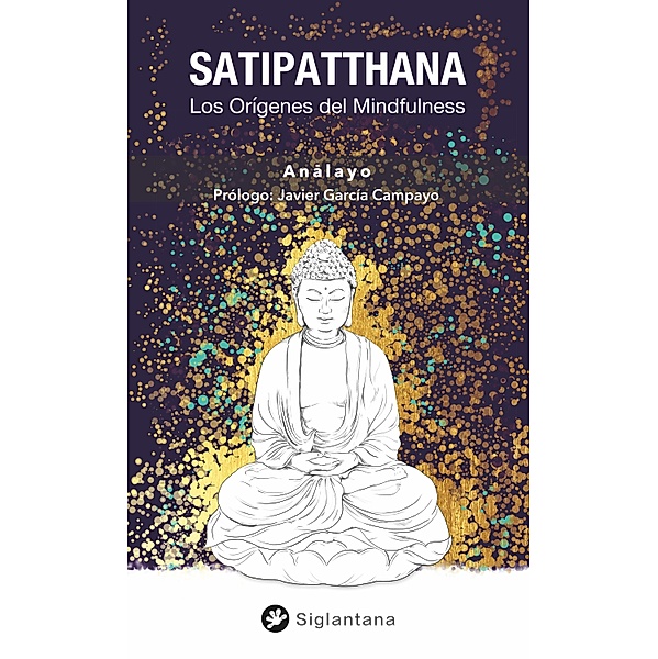 Satipatthana, Bhikkhu Analayo