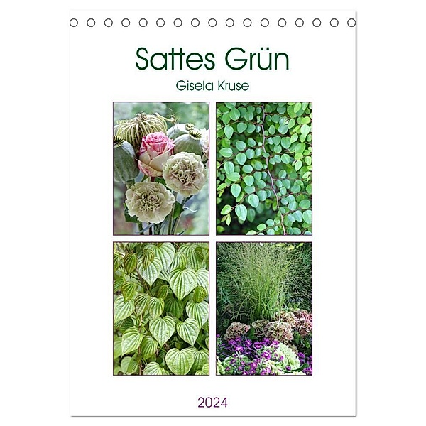 Sattes Grün (Tischkalender 2024 DIN A5 hoch), CALVENDO Monatskalender, Gisela Kruse
