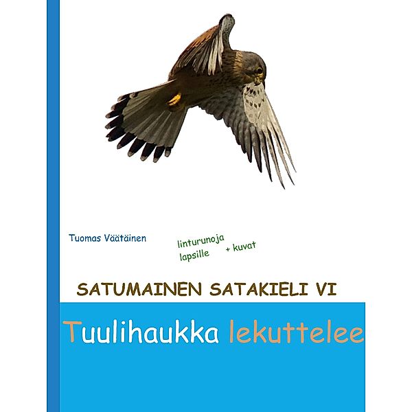 Satumainen satakieli VI Tuulihaukka lekuttelee / Satumainen satakieli Bd.6, Tuomas Väätäinen