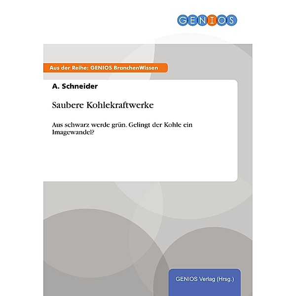 Saubere Kohlekraftwerke, A. Schneider
