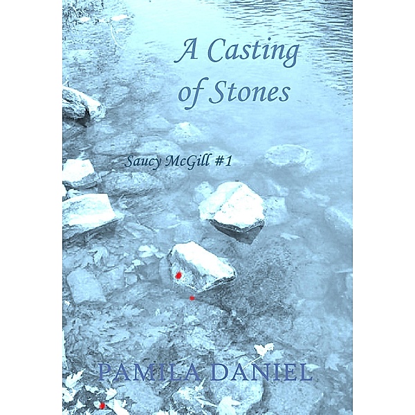 Saucy McGill Mysteries: A Casting of Stones (Saucy McGill Mysteries, #1), Pamila Daniel