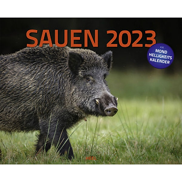 Sauen 2023