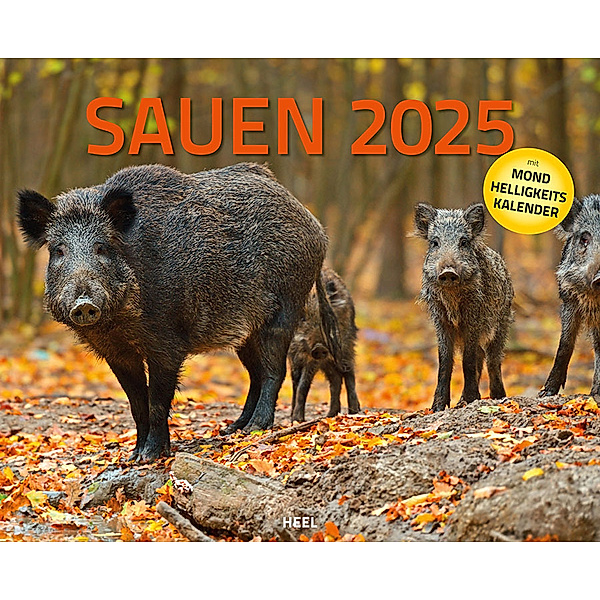 Sauen Kalender 2025 Jagd-Kalender im XXL-Format