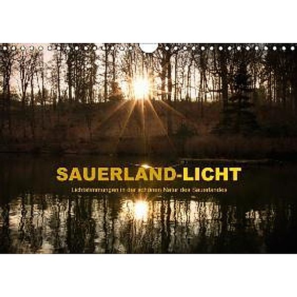 Sauerland-Licht - Lichtstimmungen in der schönen Natur des Sauerlandes (Wandkalender 2016 DIN A4 quer), Heidi Bücker