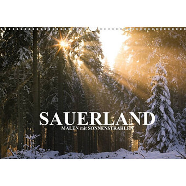 Sauerland - Malen mit Sonnenstrahlen (Wandkalender 2022 DIN A3 quer), Heidi Bücker