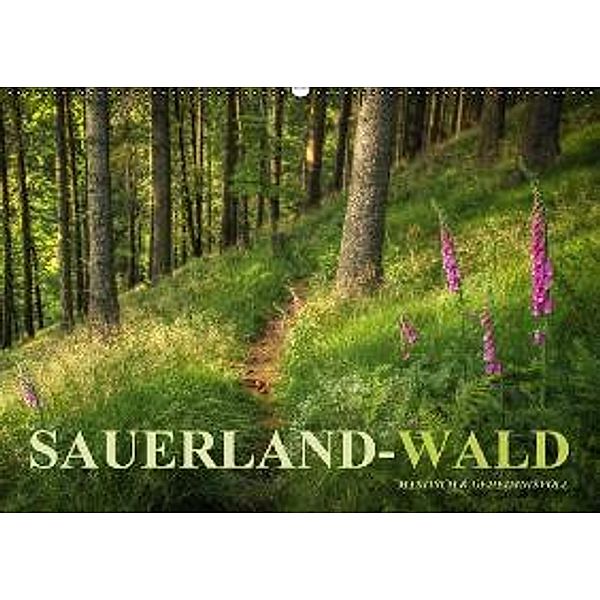 Sauerland-Wald (Wandkalender 2016 DIN A2 quer), Heidi Bücker