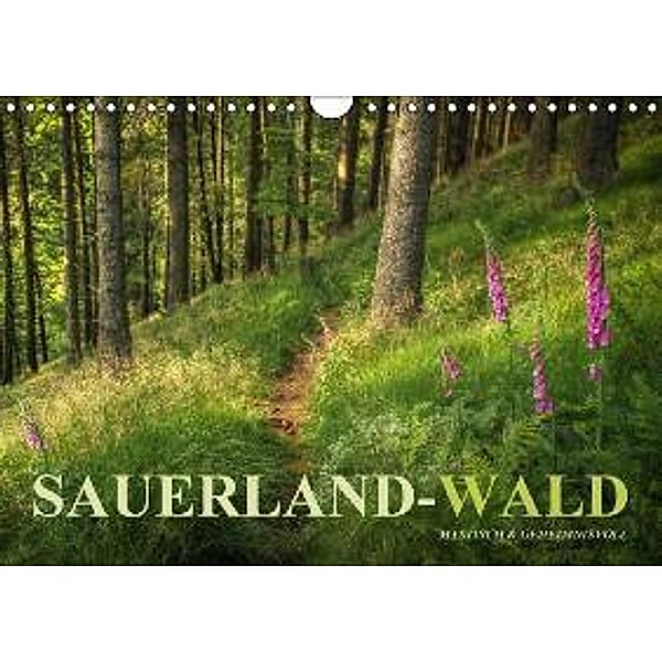 Sauerland-Wald (Wandkalender 2016 DIN A4 quer), Heidi Bücker