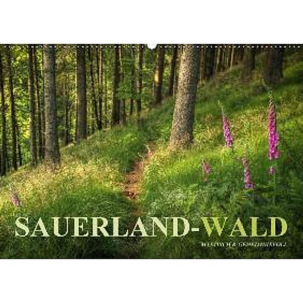 Sauerland-Wald (Wandkalender 2017 DIN A2 quer), Heidi Bücker