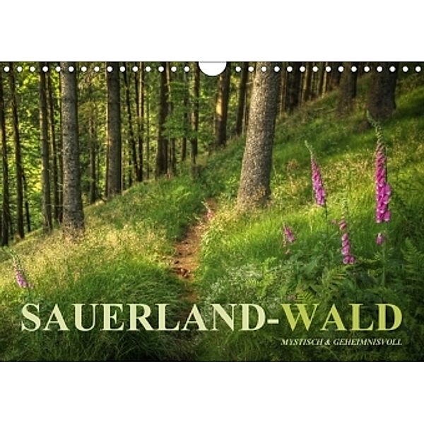 Sauerland-Wald (Wandkalender 2017 DIN A4 quer), Heidi Bücker