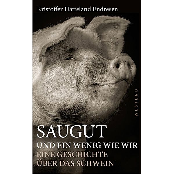 Saugut und ein wenig wie wir, Kristoffer Hatteland Endresen, Kristoffer Hatteland Endresen