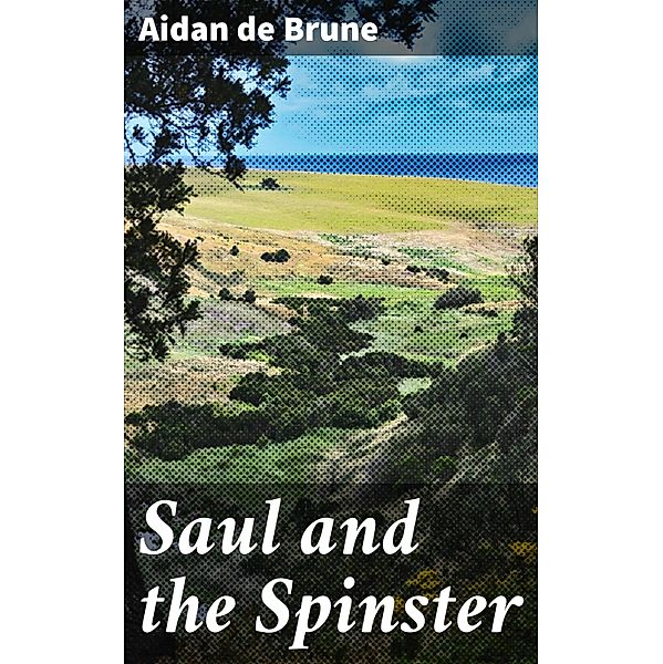 Saul and the Spinster, Aidan de Brune