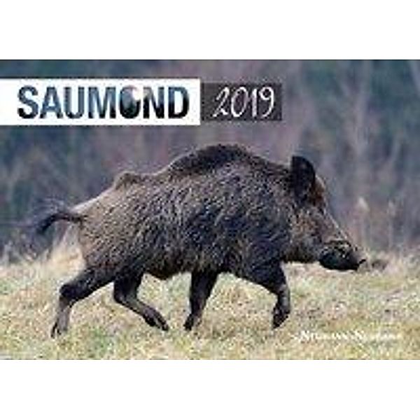 Saumond 2019