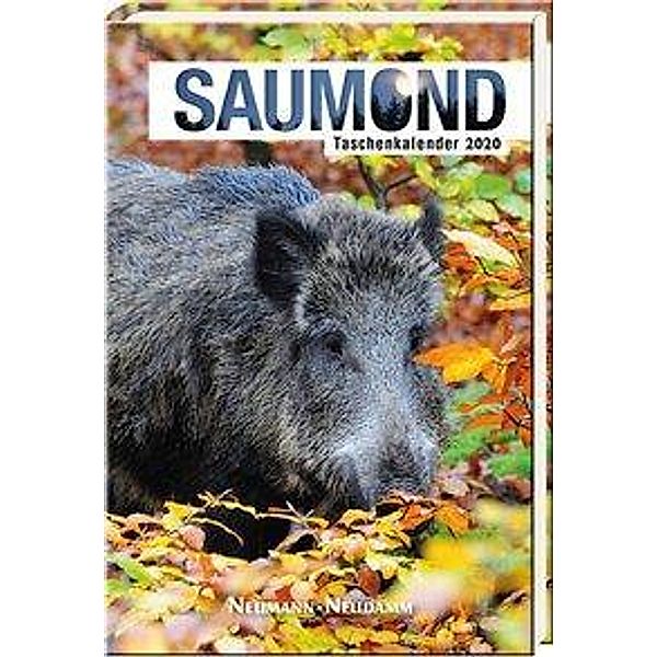Saumond Taschenkalender 2020